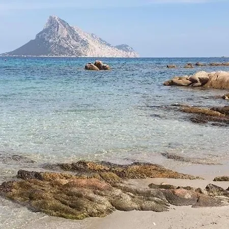 شقة Magic Dalu Con Posto Auto أولبيا