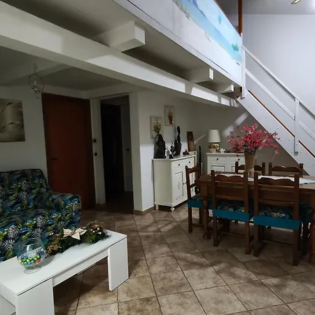 Magic Dalu House