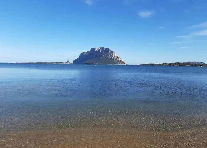 Magic Dalu Con Posto Auto Apartment Olbia