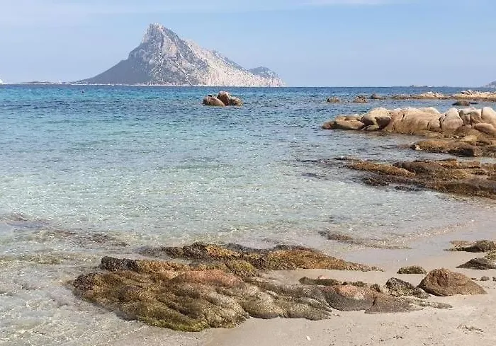 Apartment Magic Dalu Con Posto Auto Olbia