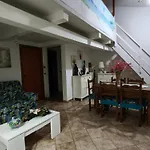 Magic Dalu House
